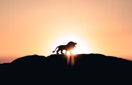 조선 태종 이방원 가계도