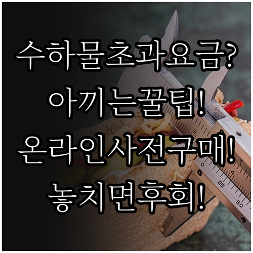 센트럼항공 수하물 초과 요금 아끼는 ..