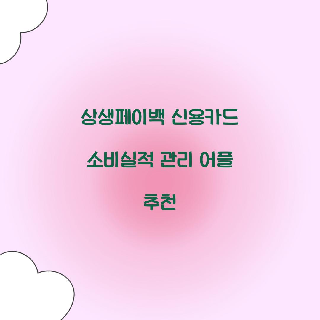 상생페이백 신용카드 소비실적 관리 어플 추천