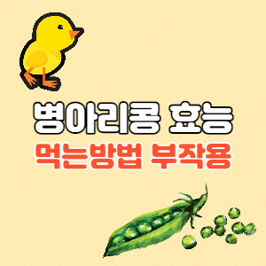 병아리콩-효능-먹는방법