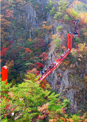 출렁다리