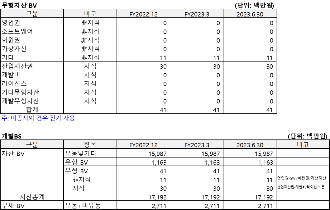 휴먼스케이프(2023.6)의 무형자산BV 및 개별BS를 정리한 표