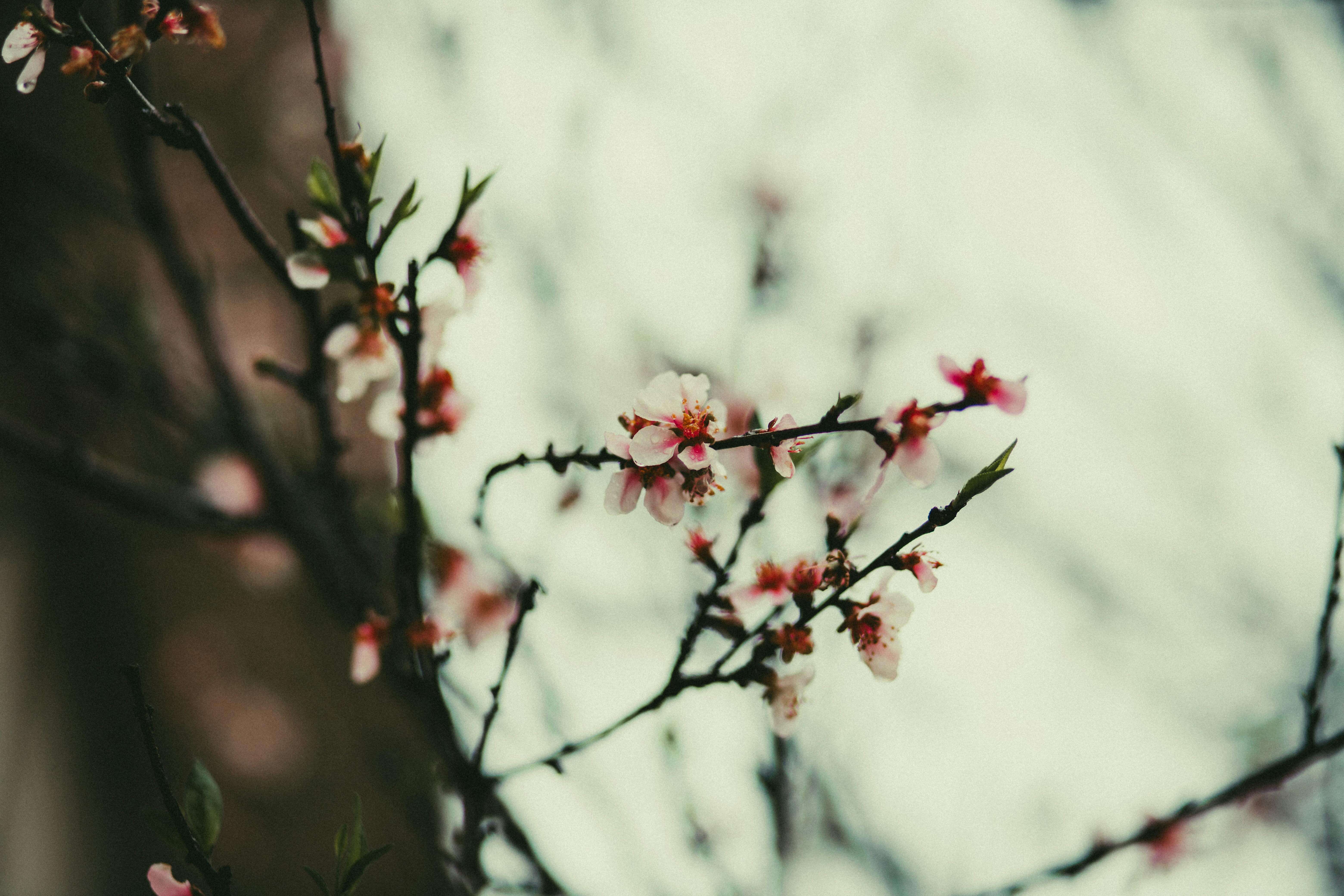 춘곤증 원인과 해결 방법&amp;#44; 봄철 피로가 계속되는 이유