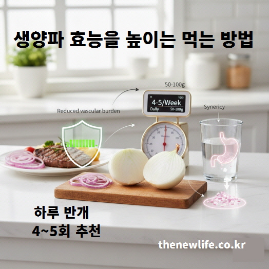생양파 효능을 높이는 먹는 방법을 설명한 이미지로, 슬라이스 생양파와 하루 섭취량 50~100g, 육류와 함께 먹는 장면 및 위 흡수 아이콘이 표시된 모습
