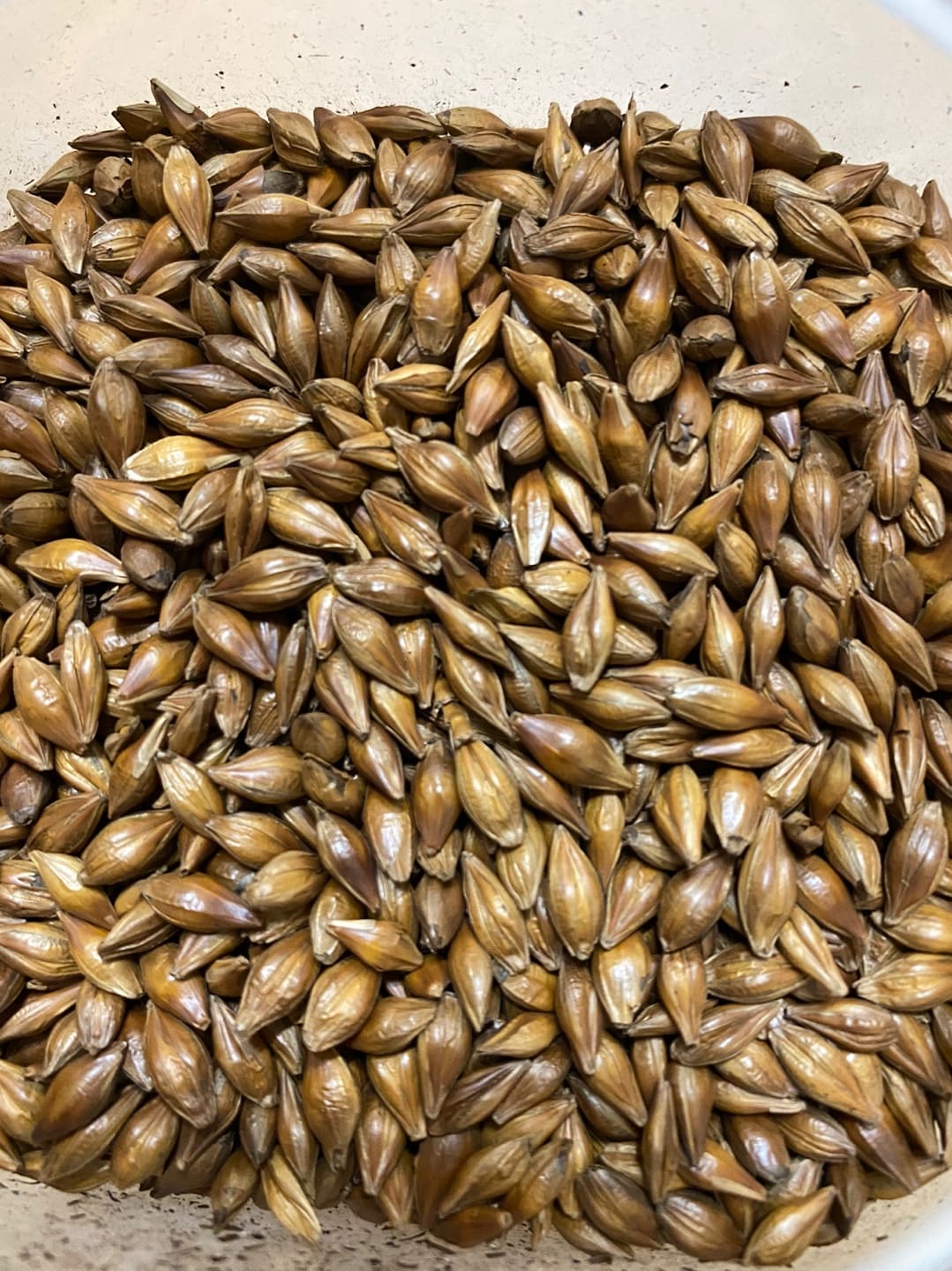 물 대신 보리차