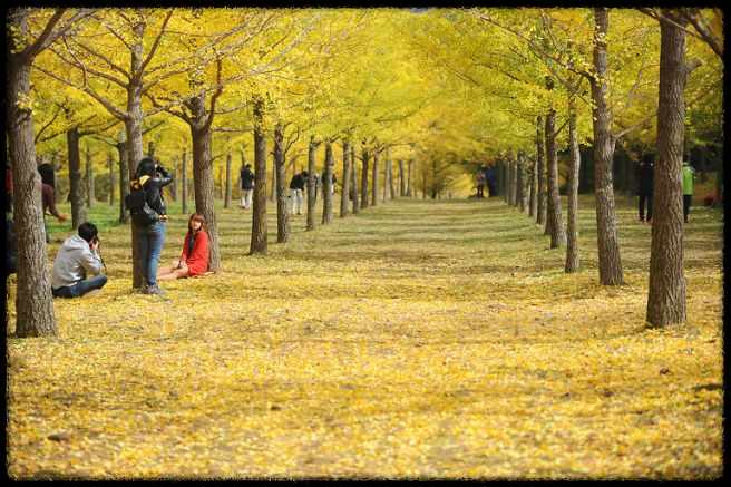 2024 가을&amp;#44; 국내 단풍 명소 추천: 절정 시기와 여행 팁까지 완벽 가이드
