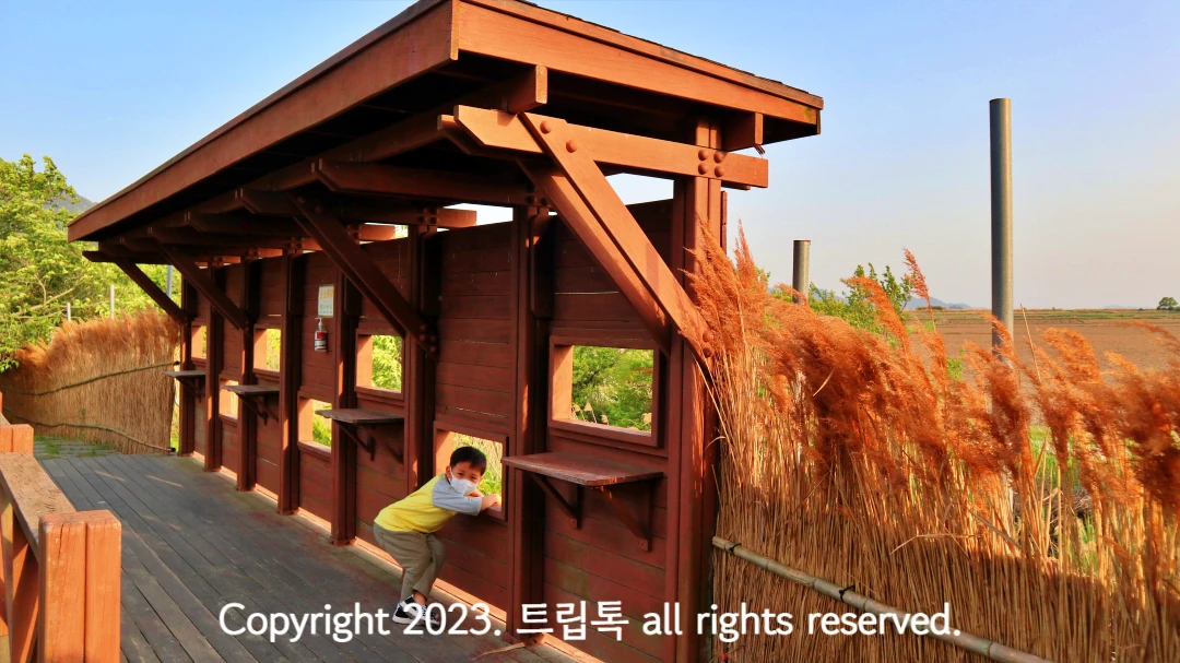 나무로된 벽에 네모난 구멍이 있다. 구멍으로 철새를 관찰하는 아이가 보인다.