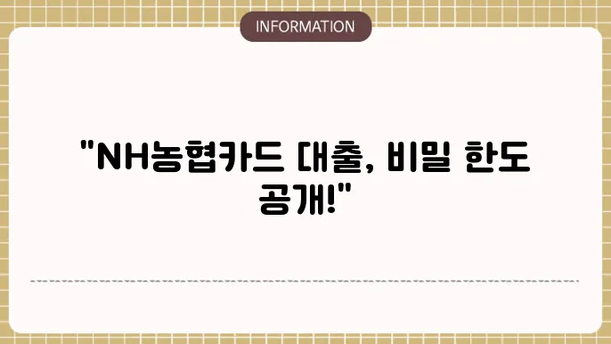 NH농협카드 장기 카드 대출 상환 계획