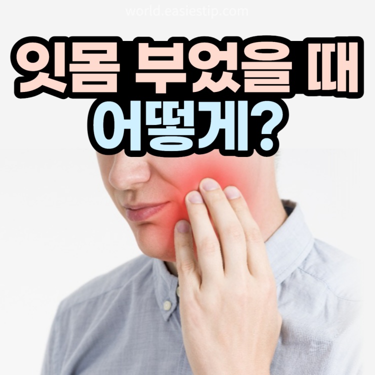 잇몸