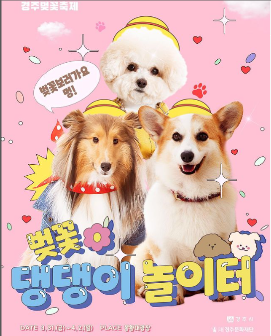 경주 벚꽃축제 일정 및 교통 통제 안내