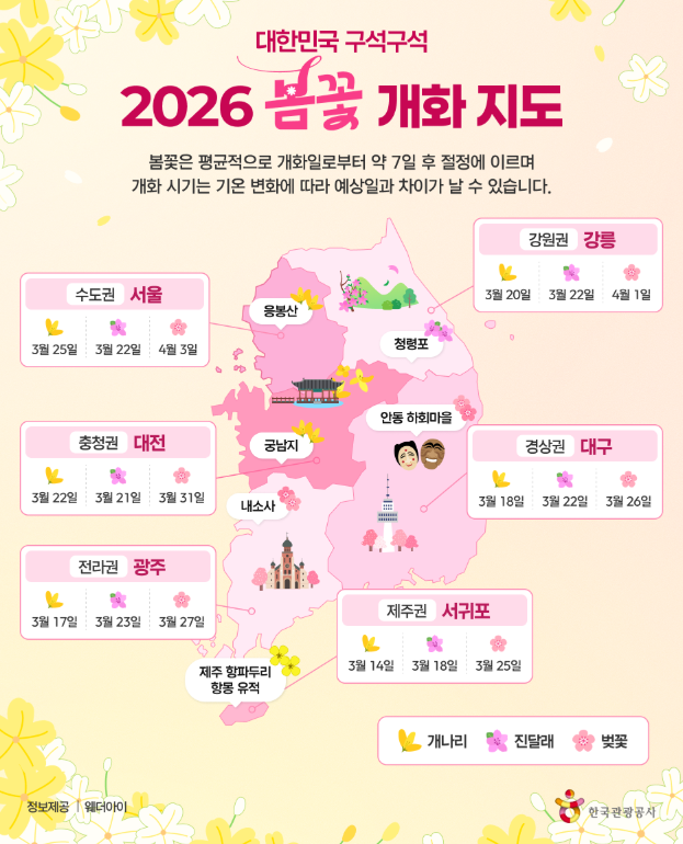 2026 벚꽃 개화 시기 만개 지도 및 주차 꿀팁 정리