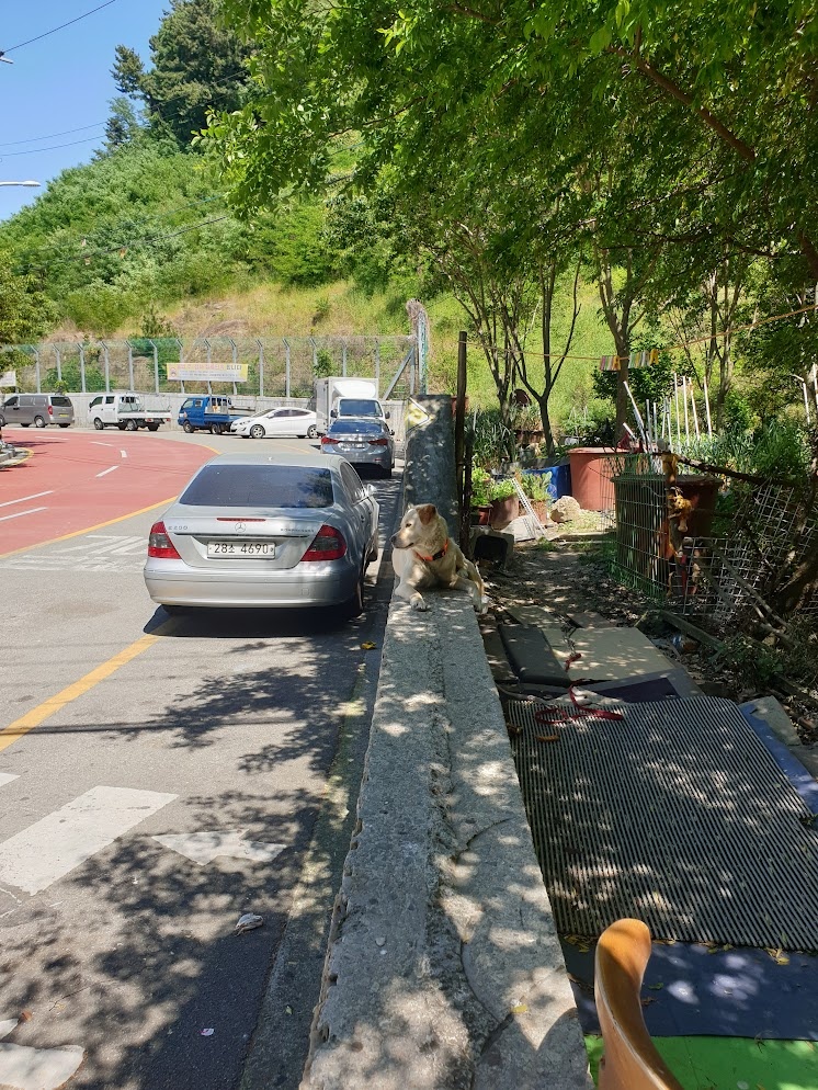 황령산 등산 코스 6