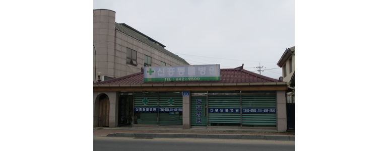 보령시 동물병원