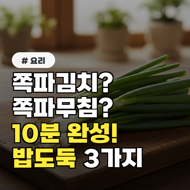 쪽파김치 쪽파무침 쪽파요리 초보도 10분 완성! 밥도둑 레시피 3가지