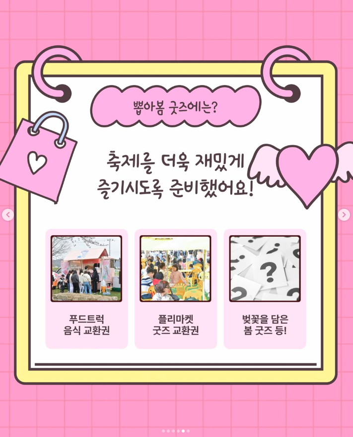 경주 벚꽃 축제