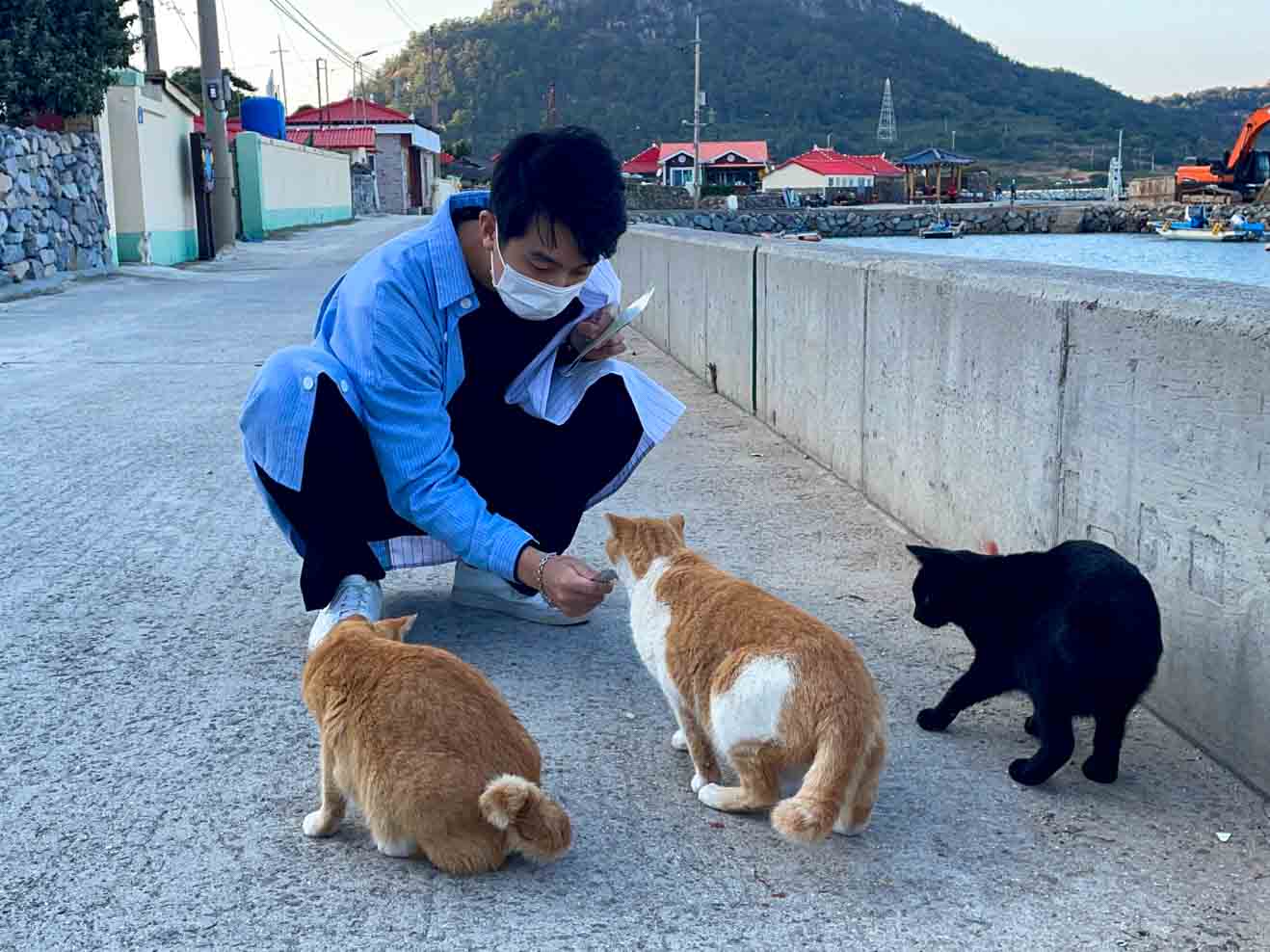 고흥 쑥섬마을
