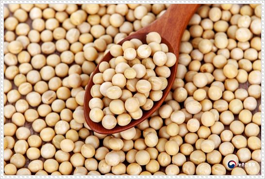 콜레스테롤 낮추는 방법