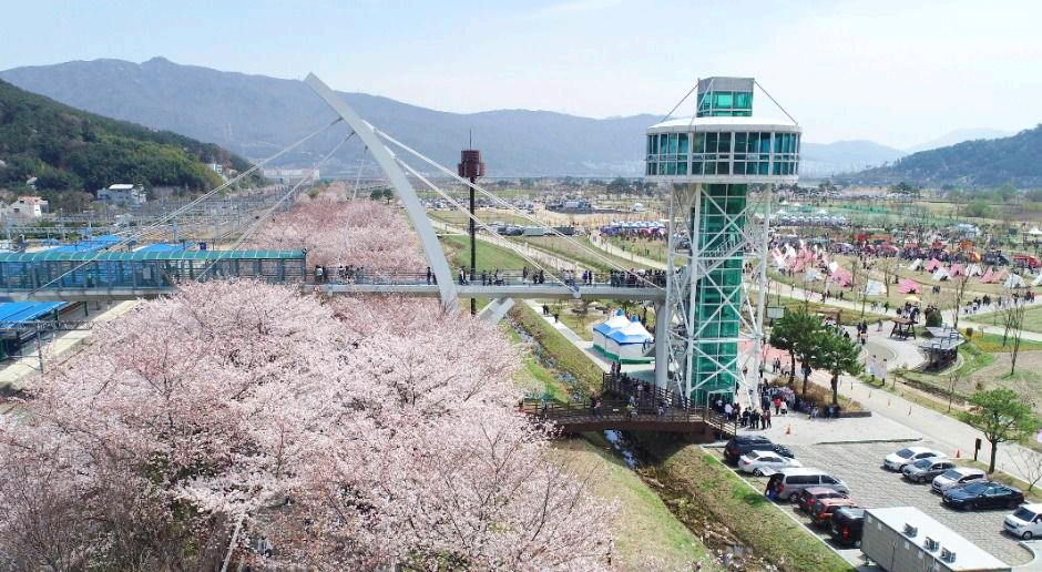 물금벚꽃축제