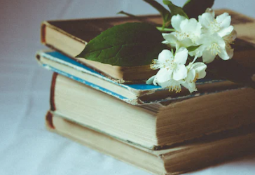 연말 연초 선물에 대하여 알아보기