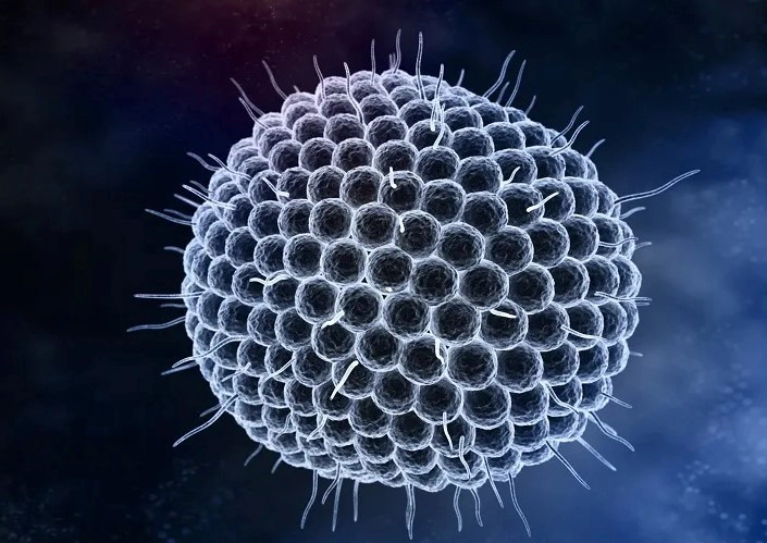 대상포진 허벅지 허리 팔 증상