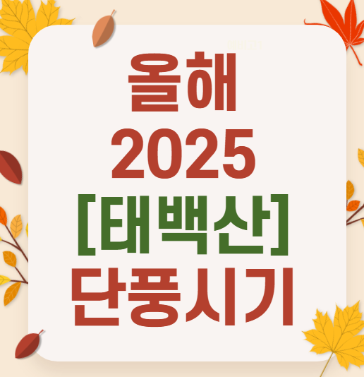 2025 태백산 단풍여행 가이드 ❘ 최단코스&middot;실시간 단풍 확인법