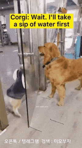 12월 19일 신문스크랩