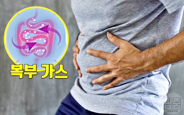 장 안좋을때 증상 배에 가스 장 안좋으면 여드름 주사비