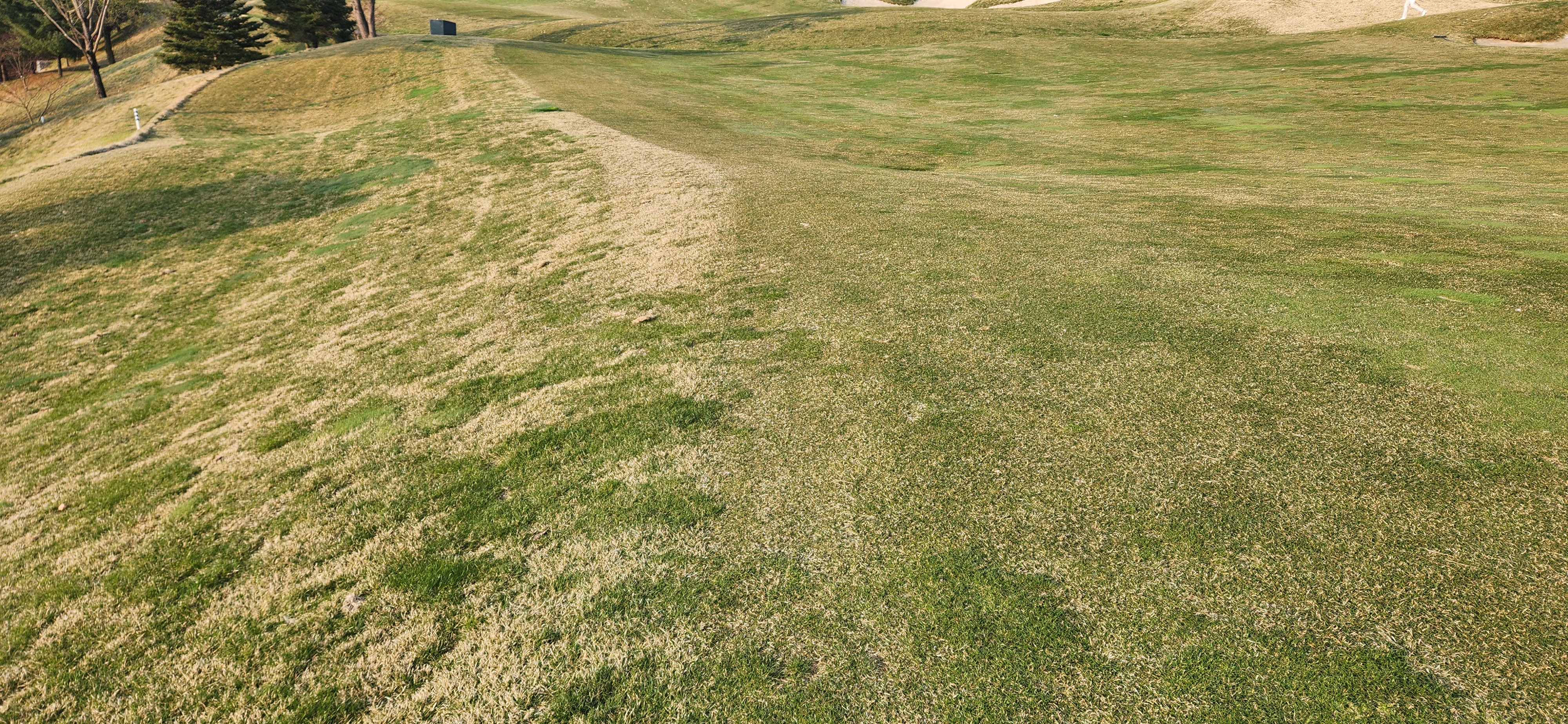 360&ordm;cc