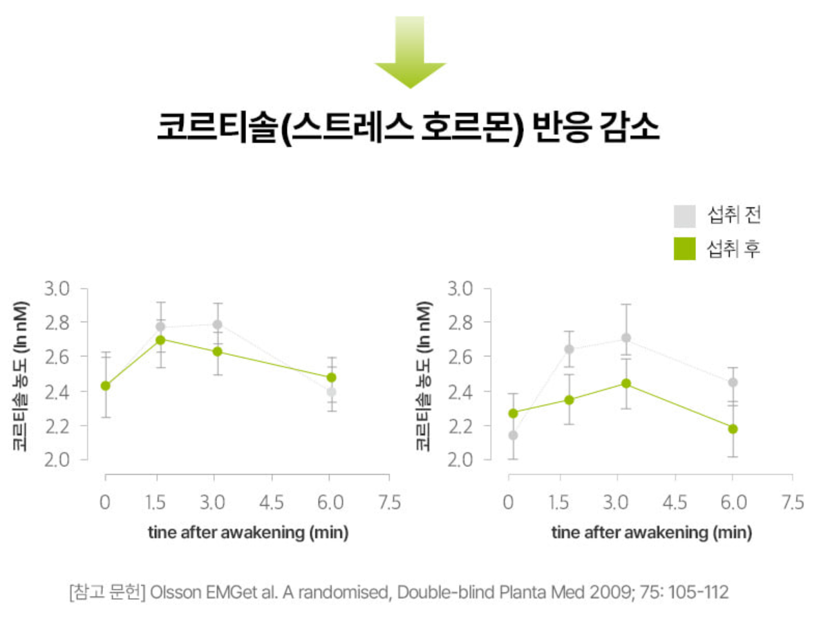신봉선 다이어트 콜레올로지 컷 성분