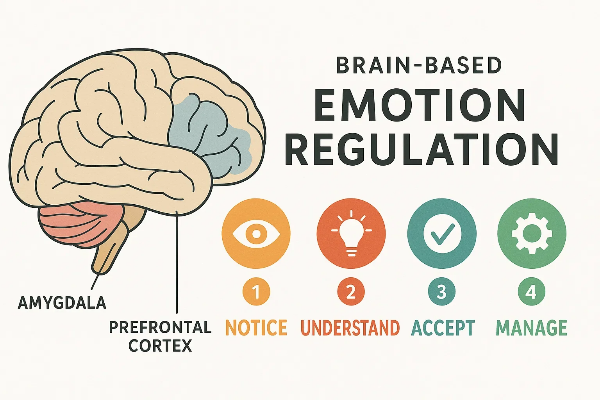 뇌 기반 감정 조절 인포그래픽 &mdash; 편도체와 전전두엽의 역할을 설명하며, 감정 인식, 이해, 수용, 조절의 4단계를 시각적으로 표현한 이미지
