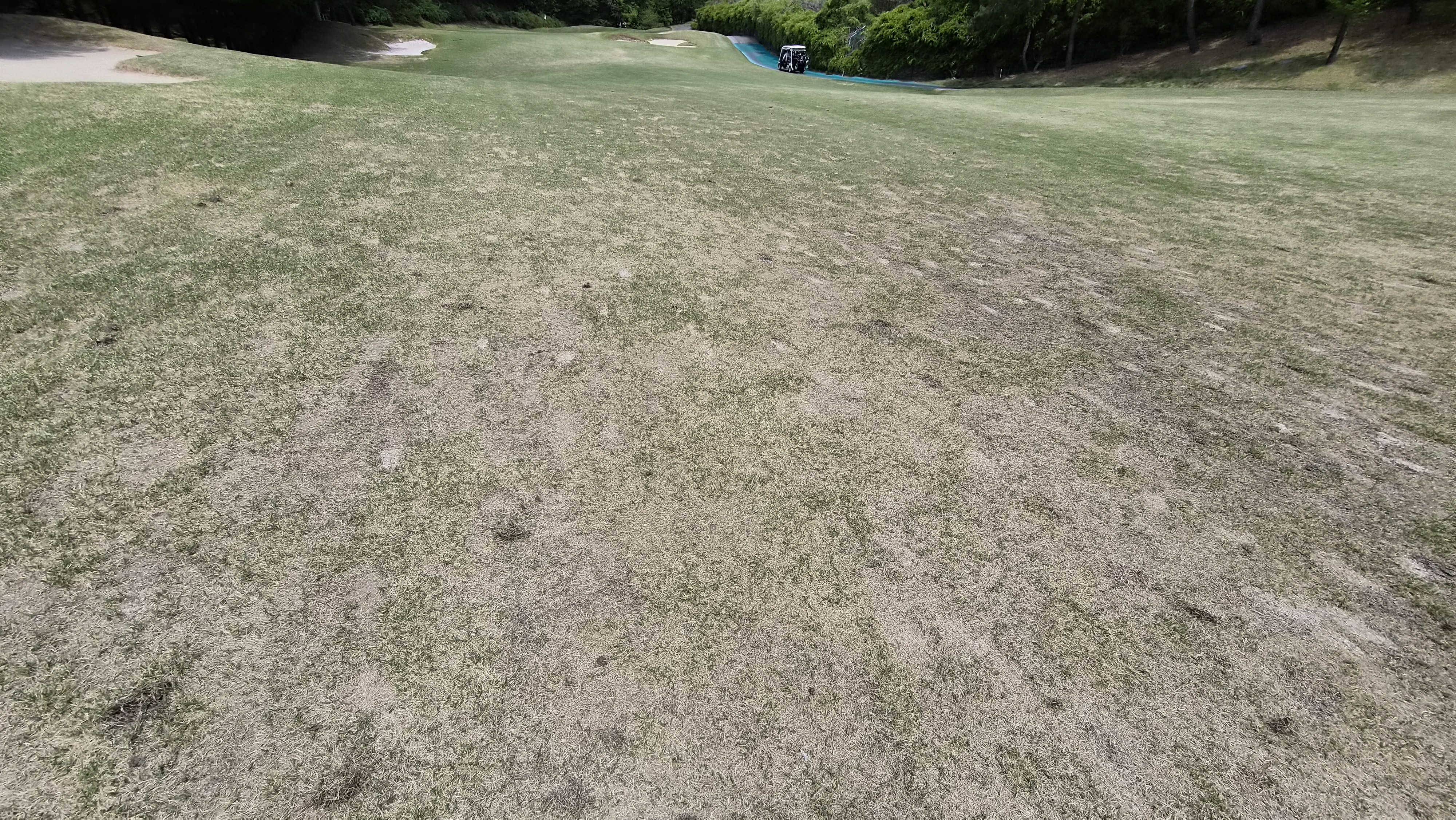 포웰cc 프린세스 라운드 후기