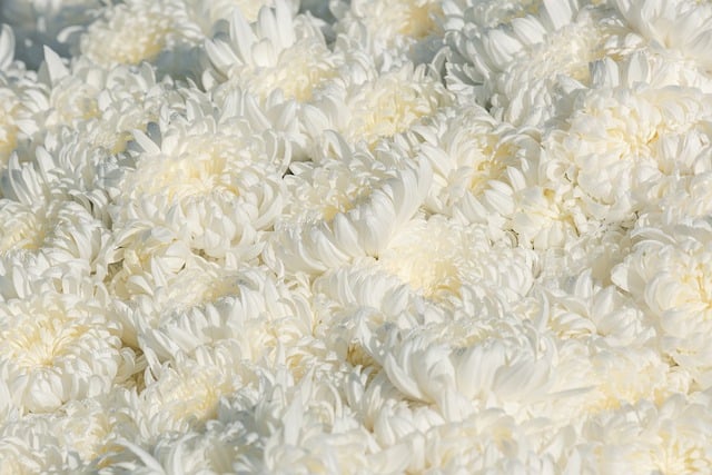 전국 지역별 화장시설 예약 방법 이용절차 이용료 사용료 화장예약서비스 화장 장사 관련 업무 상담 전화번호20