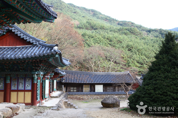 구례 가볼만한곳 베스트10