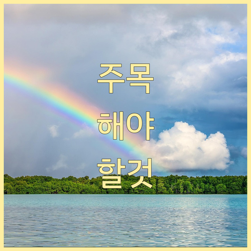 해외 결제 불가했던 상생페이백, 그 ..