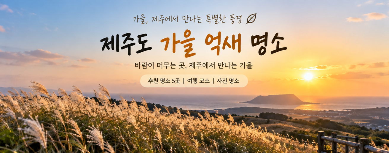제주도 가을 억새 명소