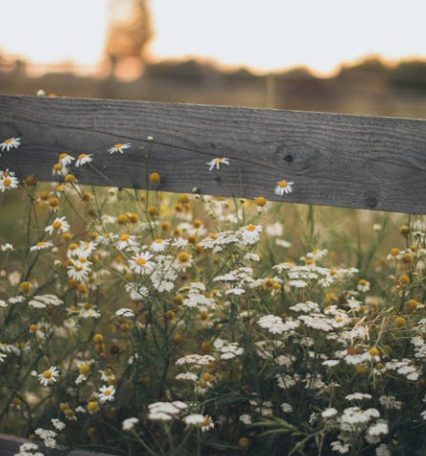 경기도 가볼만한곳 추천