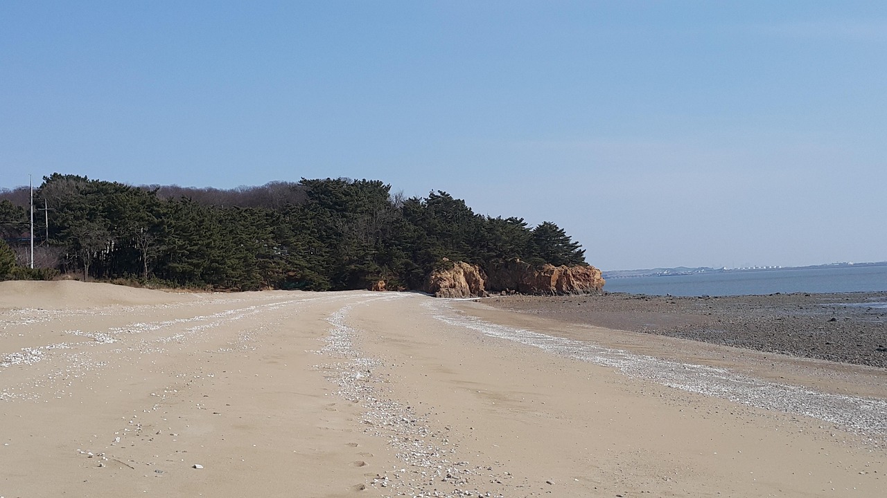 12월 국내 겨울 여행지 베스트 5