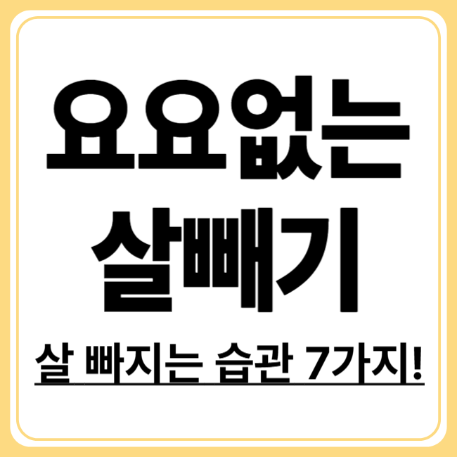 비만 다이어트 방법 7가지! 요요 없이 살 빼는 실전 전략