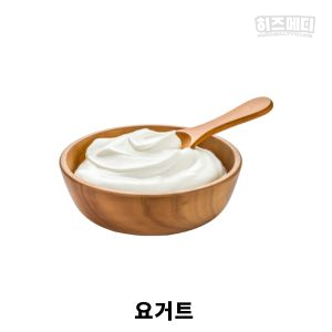 입덧에 좋은 음식