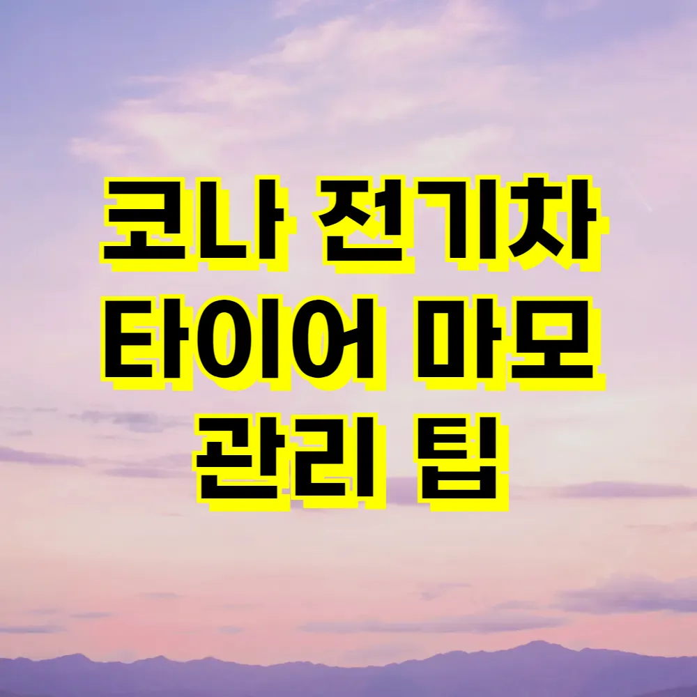 코나 전기차 타이어 마모 관리 팁
