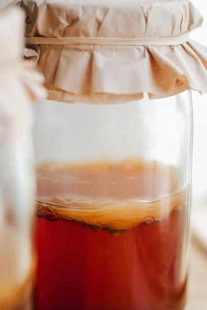 만든 콤부차 이미지