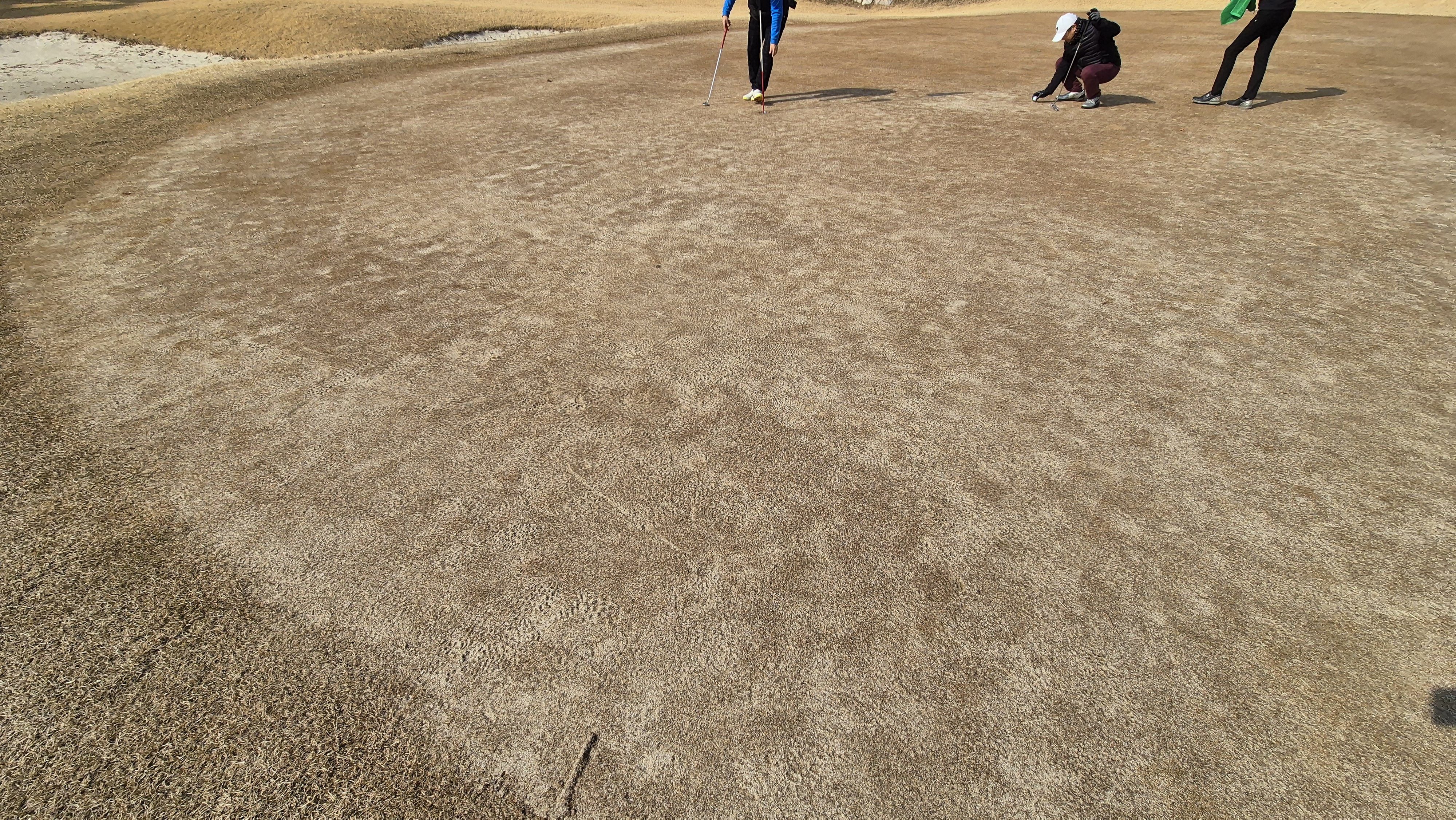 비에이비스타cc 호박-보나(퍼블릭) 코스 그린관리상태