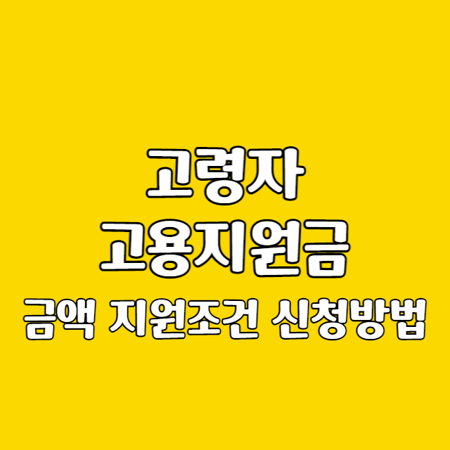 고령자 고용지원금