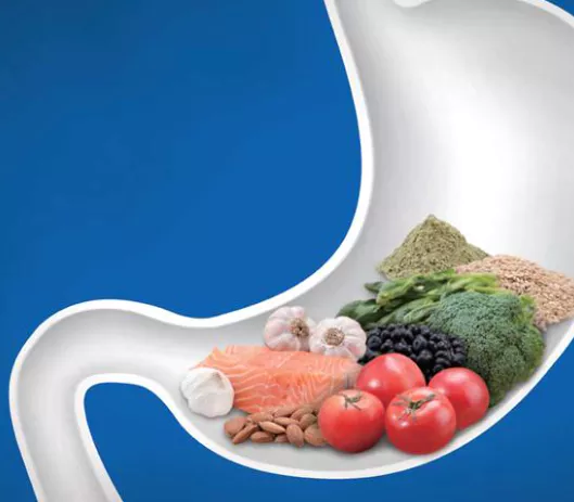 콜라겐의-효능-콜라겐-부작용-건강