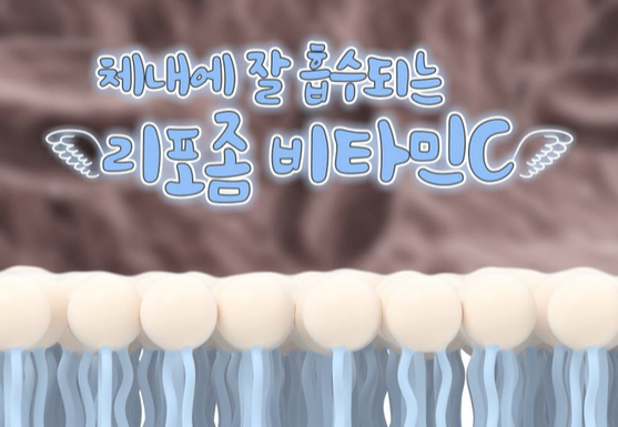 리포좀 비타민C