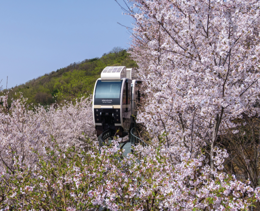 화담숲 예약하기 입장료 입장권 할인 입장시간 화담채 모노레일 단풍