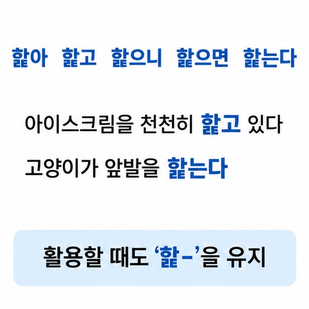 핥아, 핥고, 핥으니, 핥으면 등 핥다의 올바른 활용형과 예문을 정리한 이미지