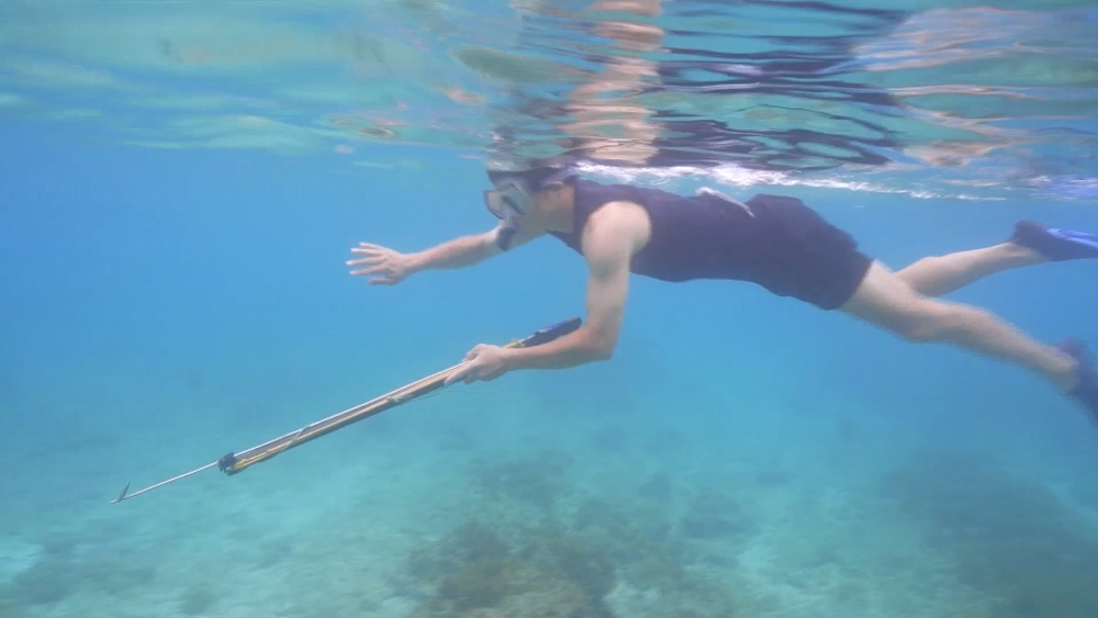 태계일주3방송화면