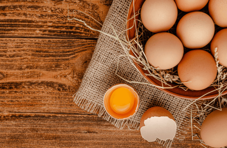 삶은 달걀 사진