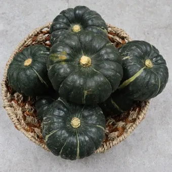 단호박 수확시기와 따는 방법 지역별로 쉽게 알아보는 정보_9